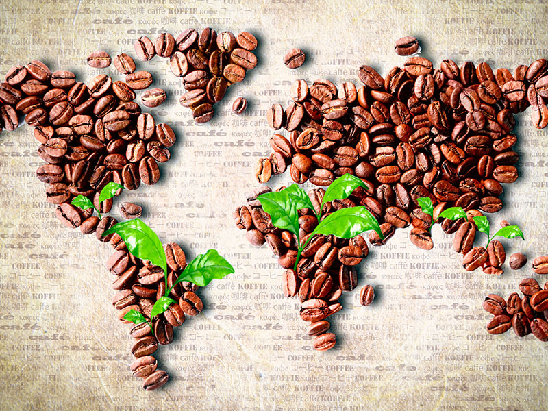 движение кофе по планете